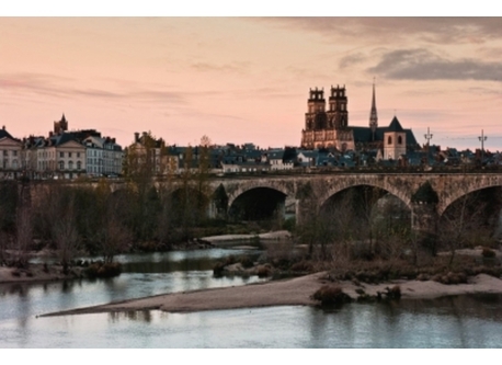 Orléans vue de Loire