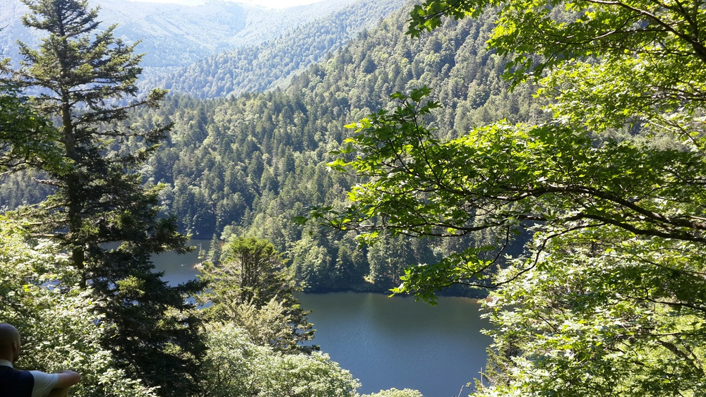 un lac dans les Vosges