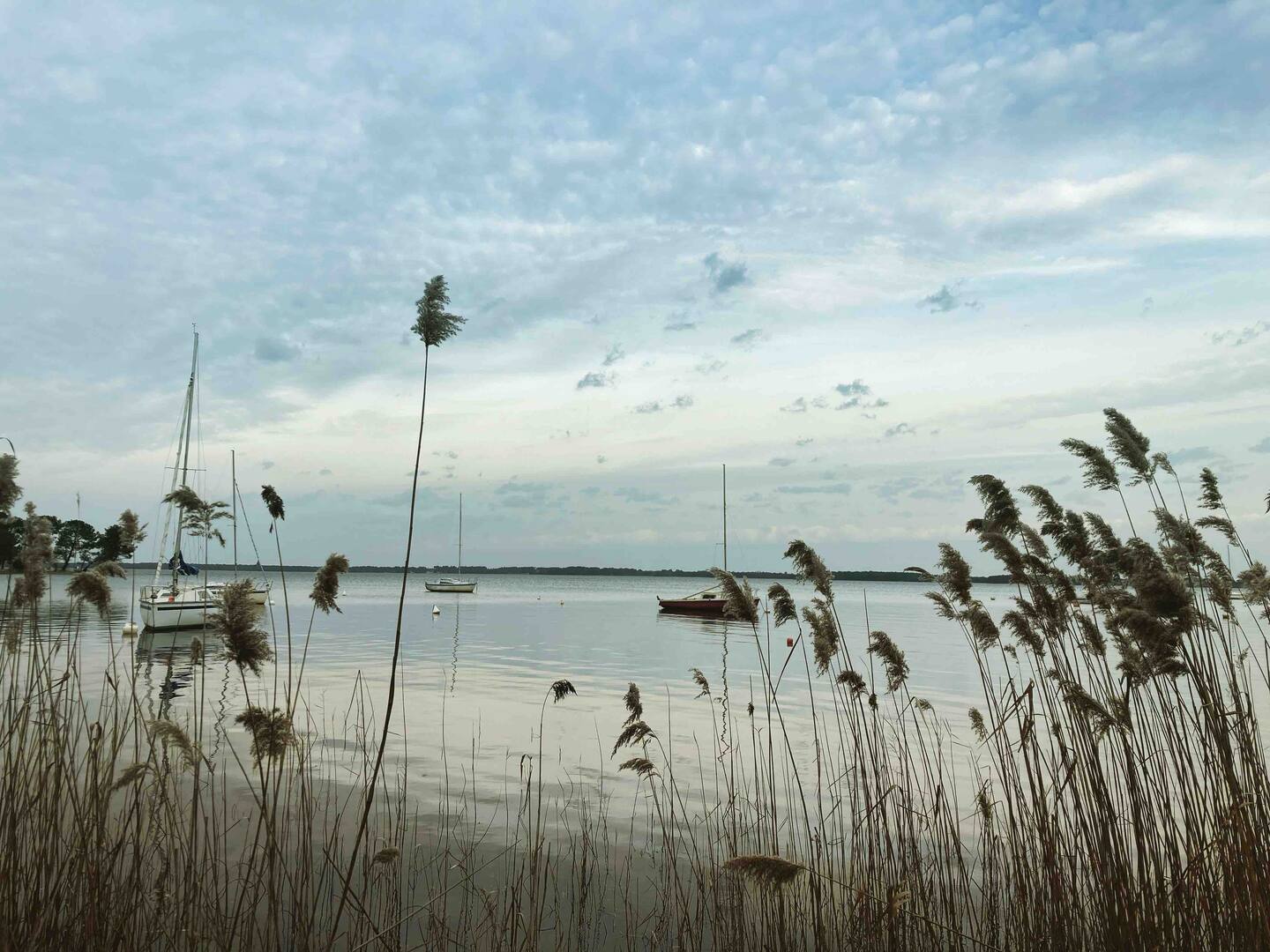 De nombreuses petites plages cachées vous attendent au bord du lac. Soyez curieux et partez en balade, pique-nique et serviette sous le bras, vous ne serez pas déçus.