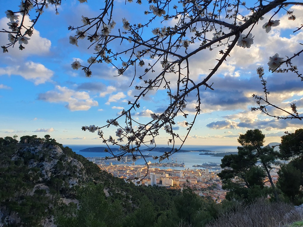 Vue sur la ville de Toulon