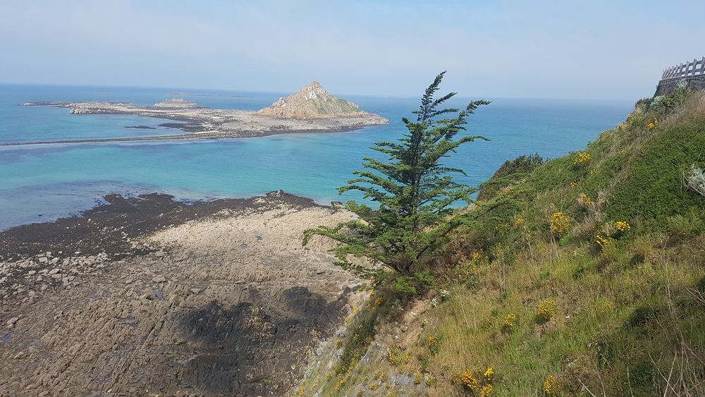 Jolie vue sur mer, photo prise du chemin côtier à 5 mn à pied de l'appartement