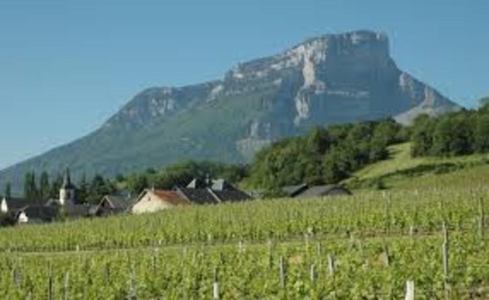 Massif du Granier en Chartreuse à une quinzaine de km