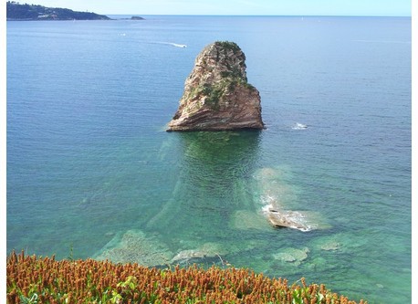 Rochers, Hendaye