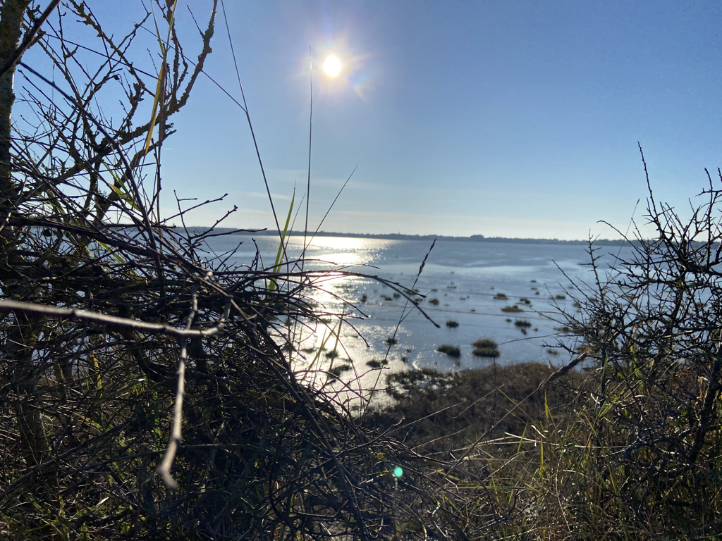 Estuaire de la Vilaine Au