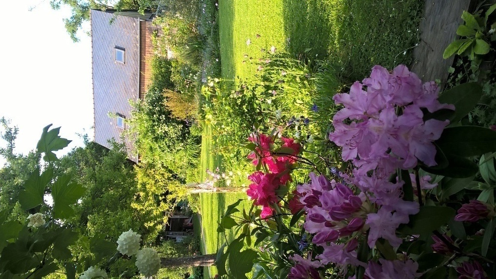 Les fleurs visibles de la véranda