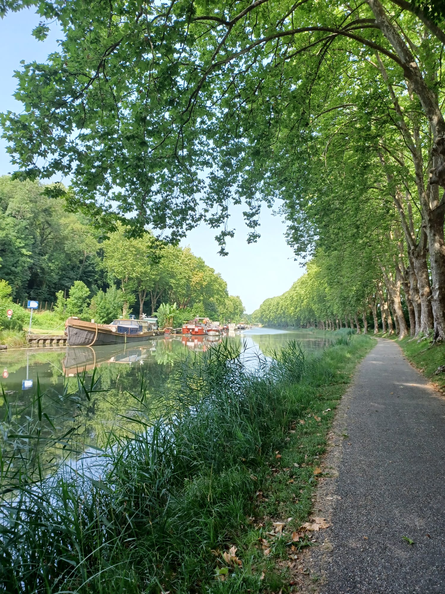 Chemins de halage-Castet-en-Dorthes