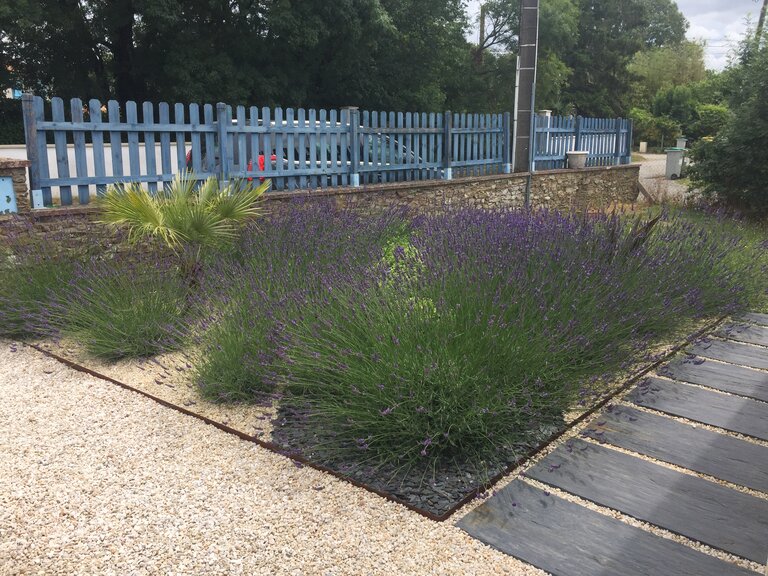 le jardin de devant la maison