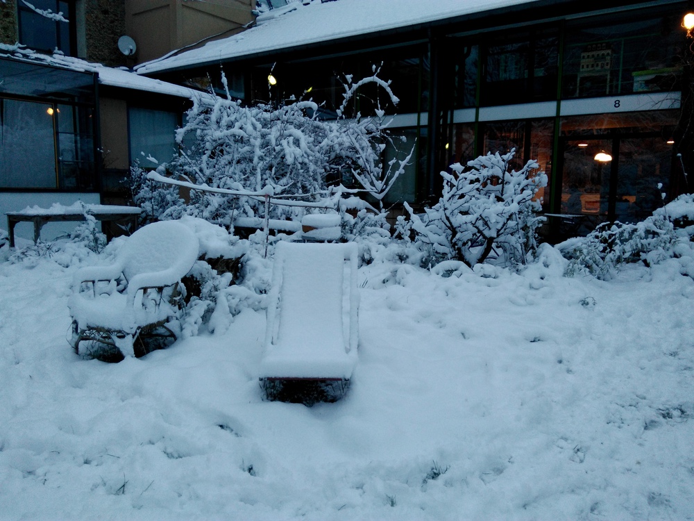 Janvier 2018 : Le jardin est sous la neige (et c'est pas fréquent)