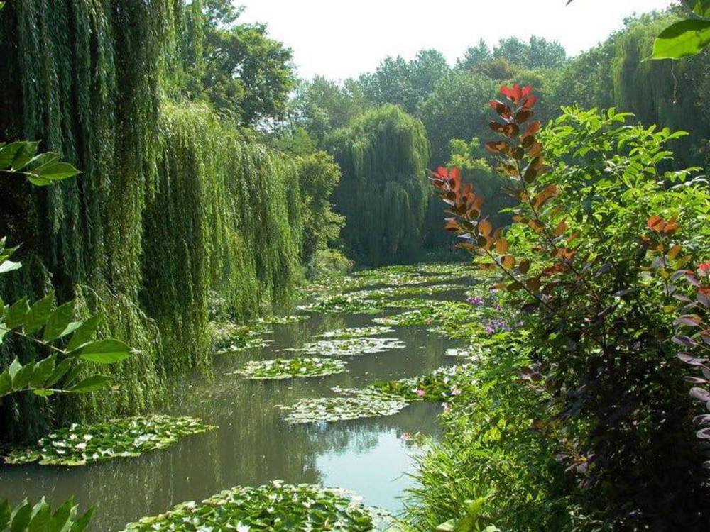 Giverny, maison de Monet, musées et jardin. 1 heure en voiture.