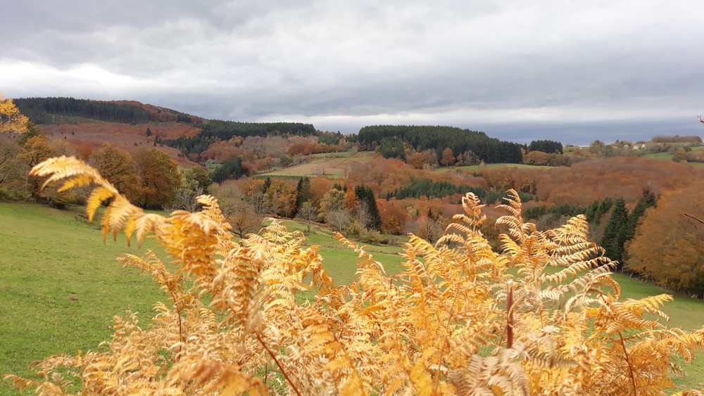 automne en Montagne Bourbonnaise