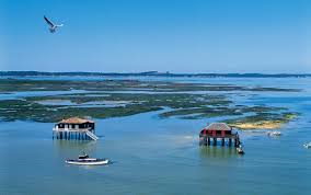 les cabanes tchanquées du Bassin d'Arcachon