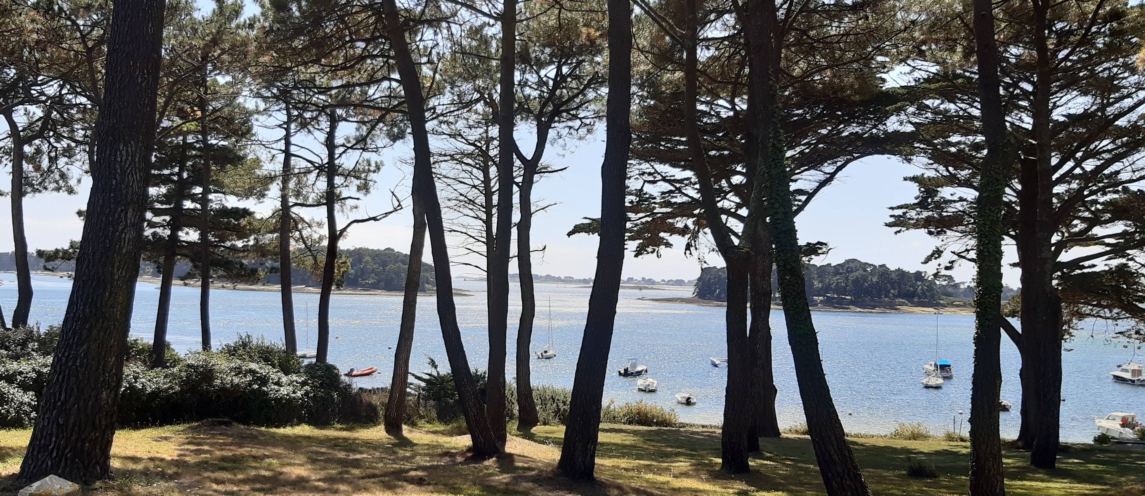 Golf du Morbihan