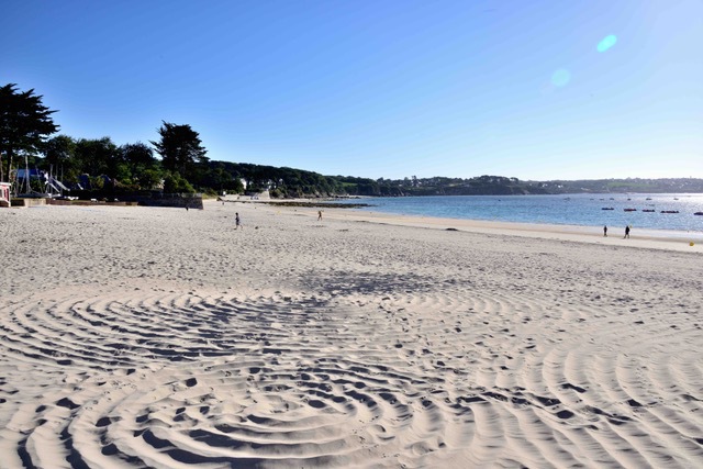 rosaces sur le sable blanc