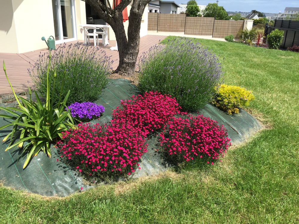 Terrasse et jardin