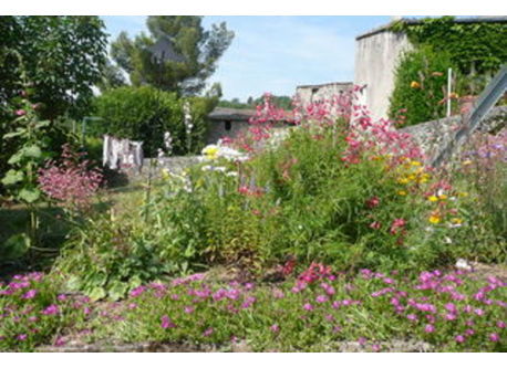 jardin derrière la maison