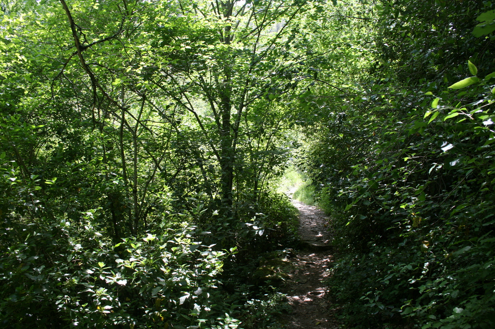 sentier à deux pas du village