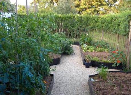 Le jardin potager