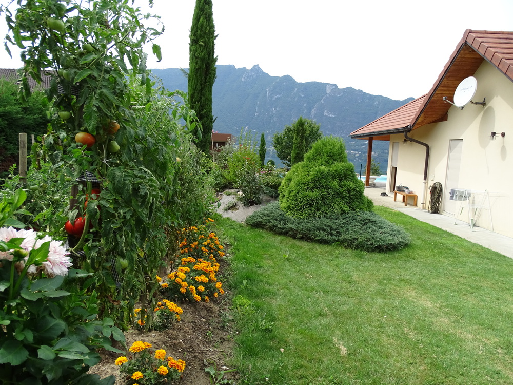 vue sur le potager