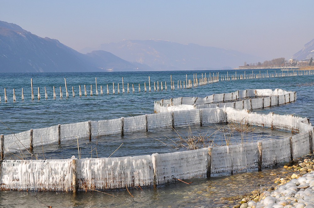 Le lac du Bourget , pris dans les glaces