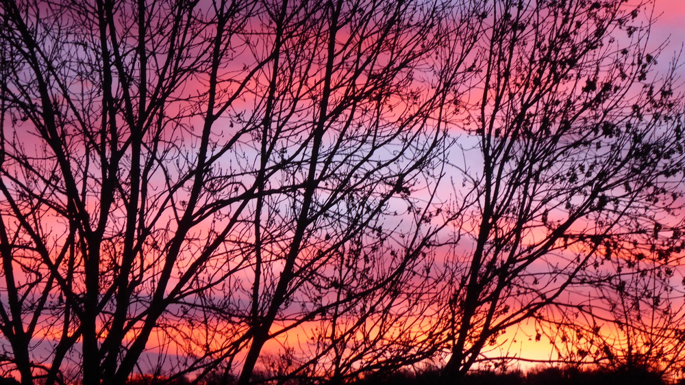 Coucher de soleil vu de la terrasse