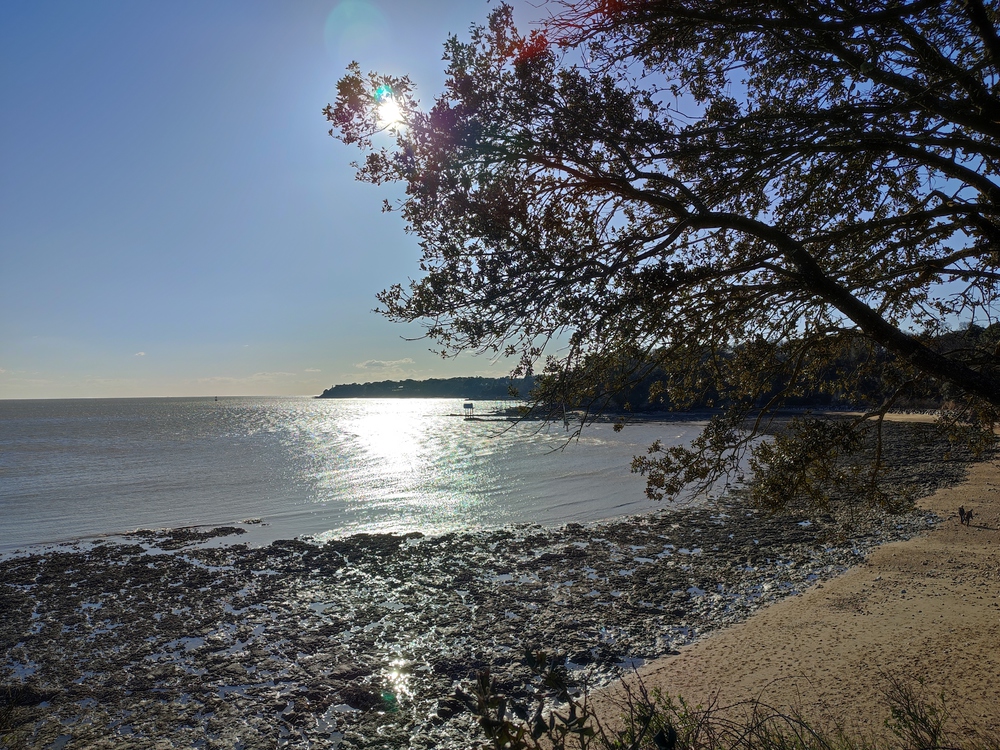 le sentier des douaniers de St Nazaire à La Baule