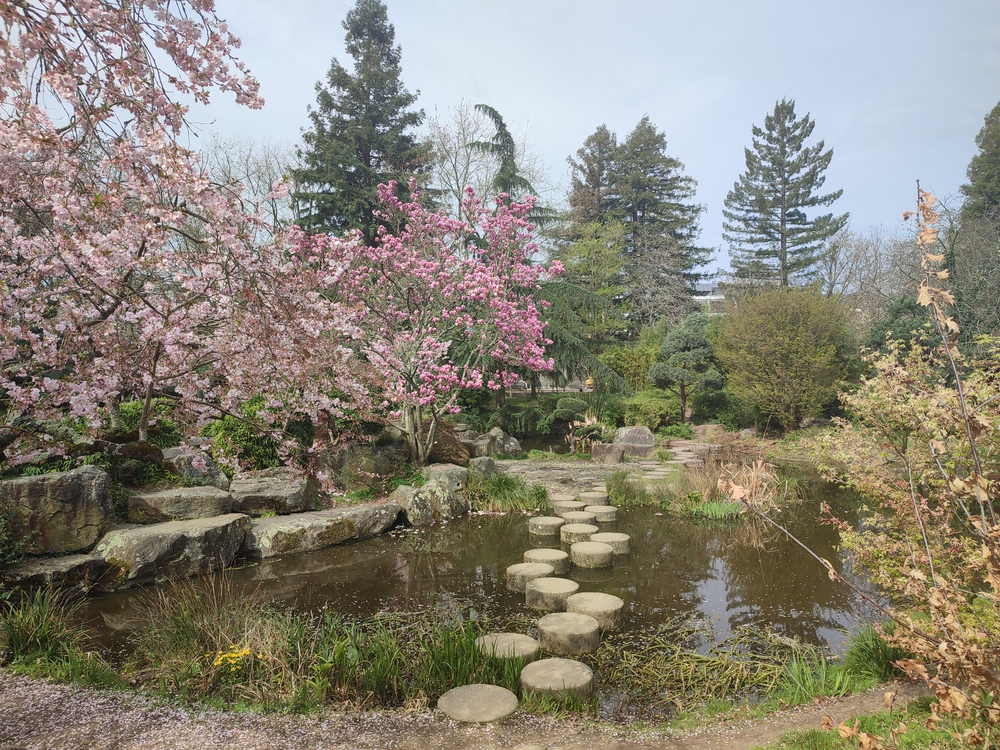 l'île de Versailles Nantes