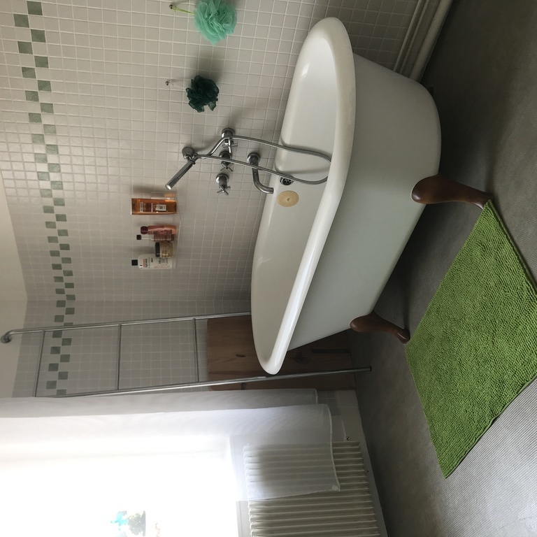 Salle de bain 1er