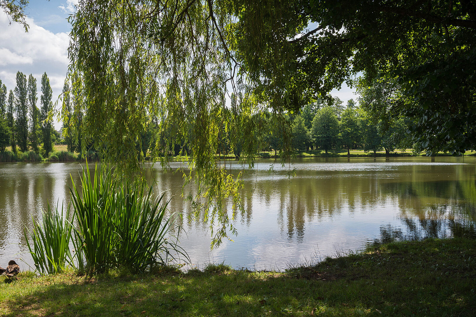 Lac de Campbon