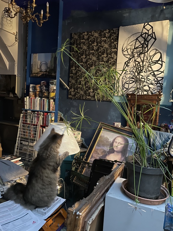 vue de la salle à manger avec le chat