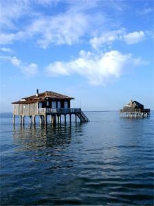 cabane tchanquée à arcachon île aux oiseaux