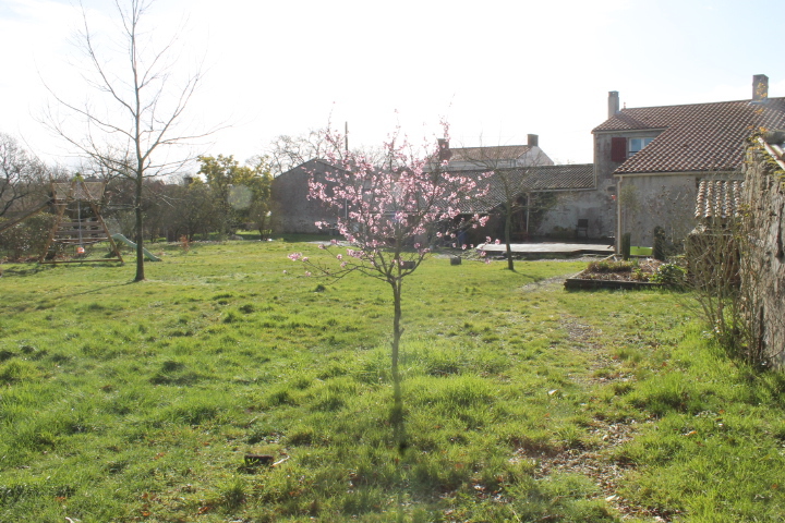 Vue de la maison côté nord depuis le fond du jardin ...