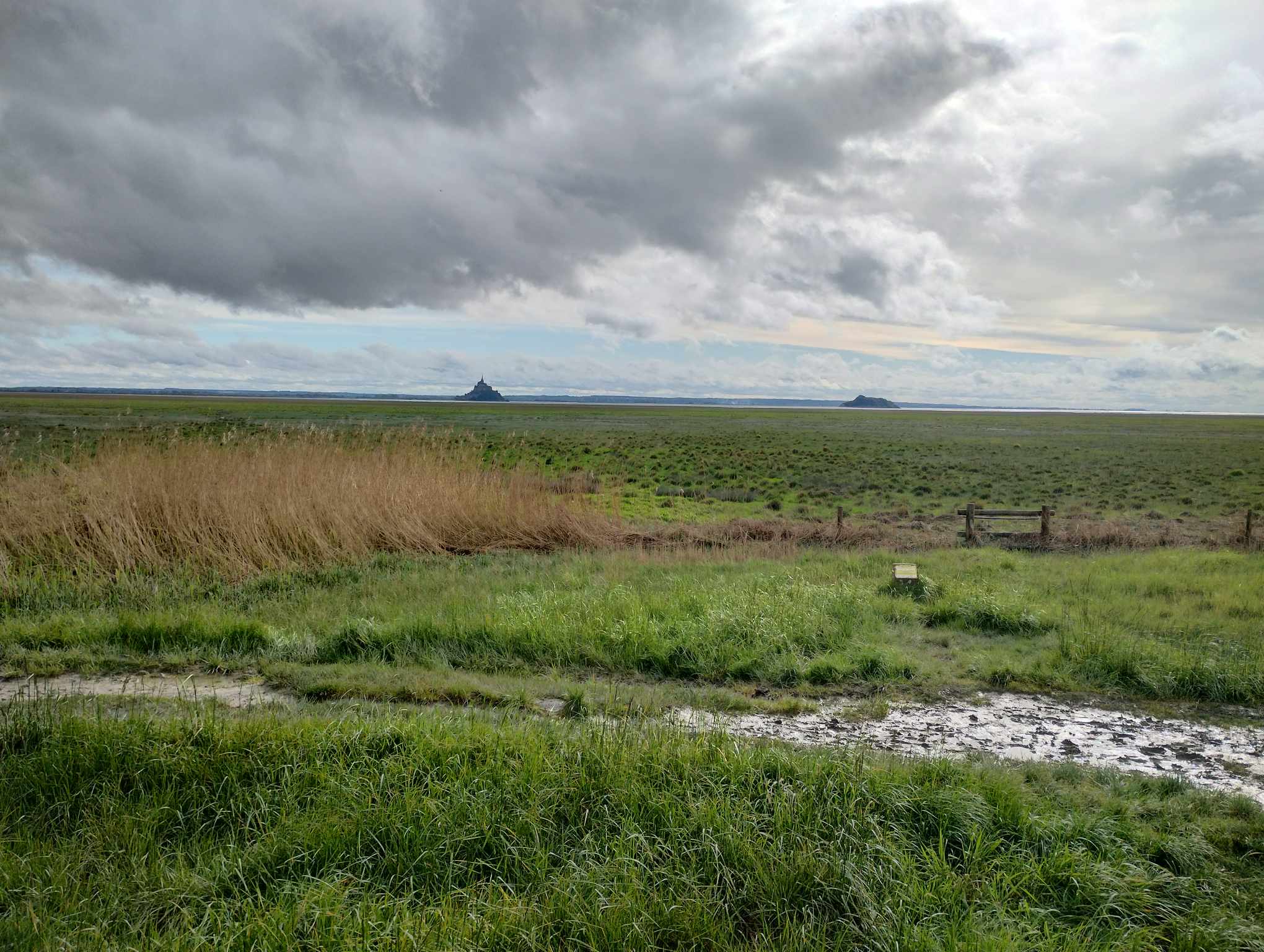 Baie du Mont Saint-Michel depuis Genêts (à 10min)