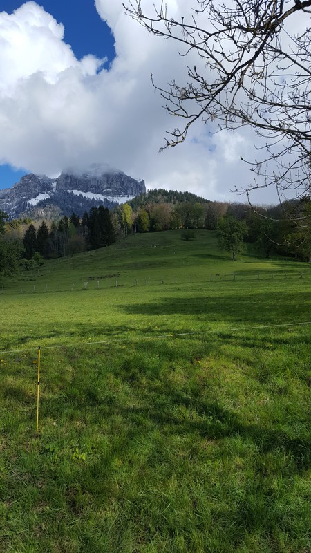 Vue autour de la maison (1)