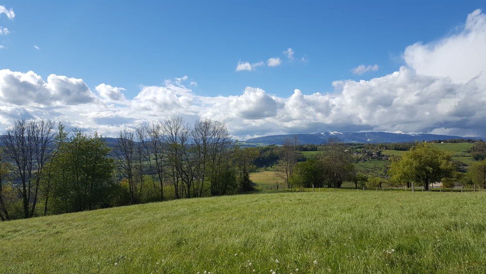 Vue autour de la maison (2)