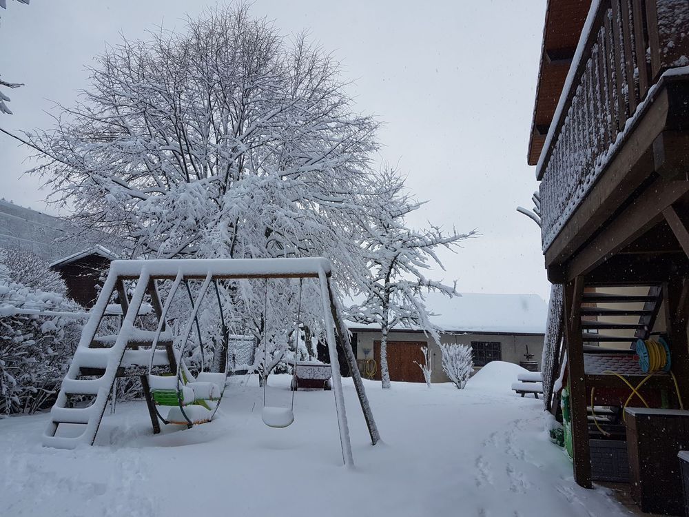 Le jardin sous la neige