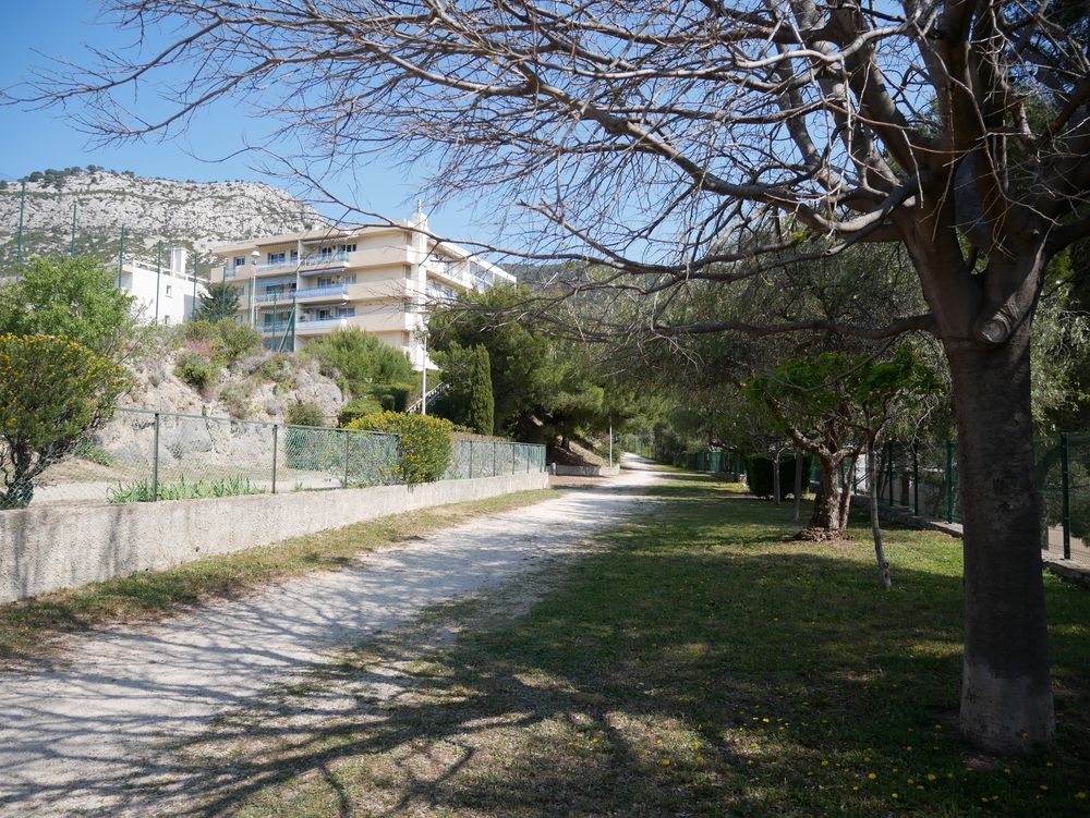 le parc dans la résidence