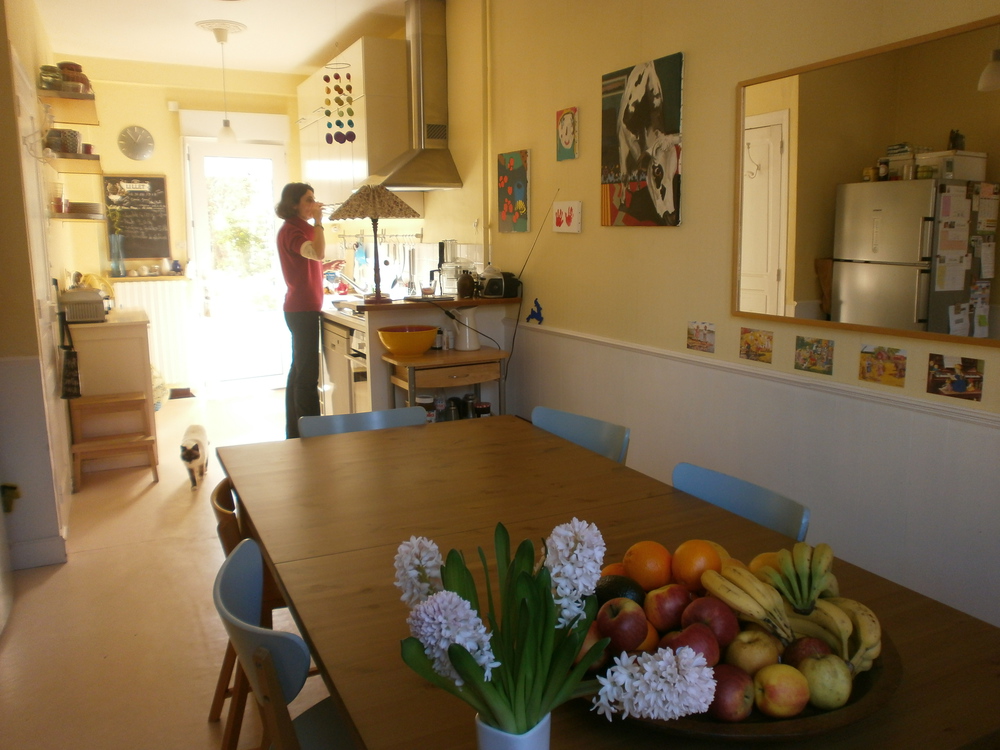 Salle à manger / Cuisine, vue de la porte vers le jardin au sud.