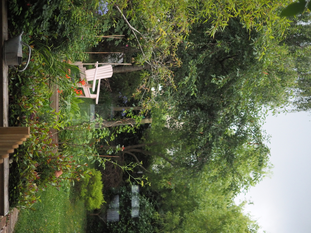 Le jardin vu de la fenêtre du salon.