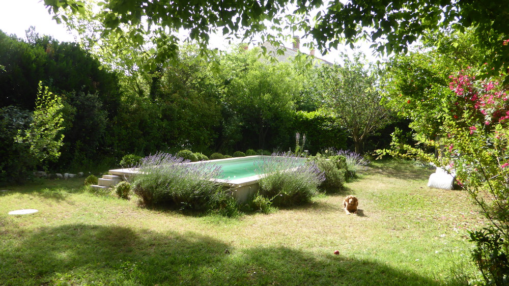 jardin clos et piscine