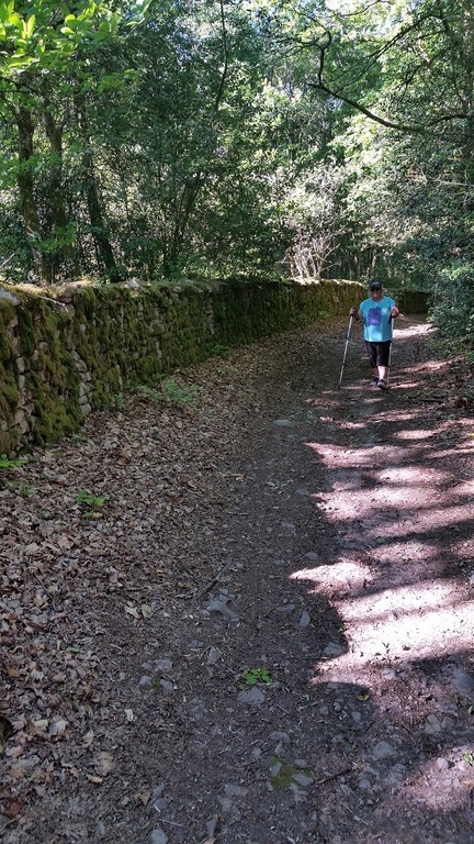 Roman wall walk near us