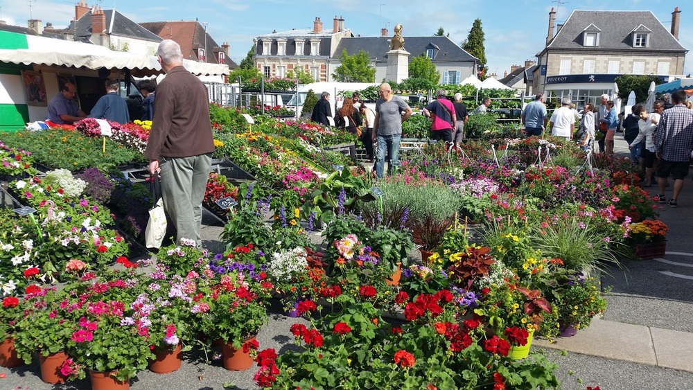 marché aux fleurs de Boussac