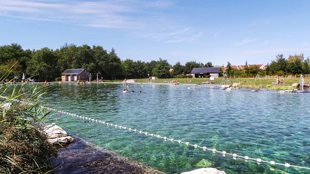 Baignade naturelle à 10 min de chez nous (processus biologique naturel, sans chlore ni produit chimique)