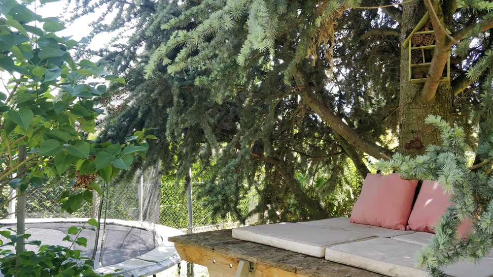 La cabane dans l'arbre et le trampoline