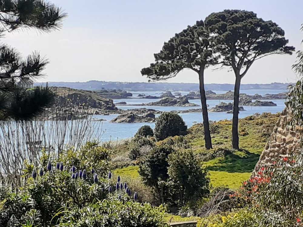 Excursion à l'ile de Brehat: à ne pas manquer!