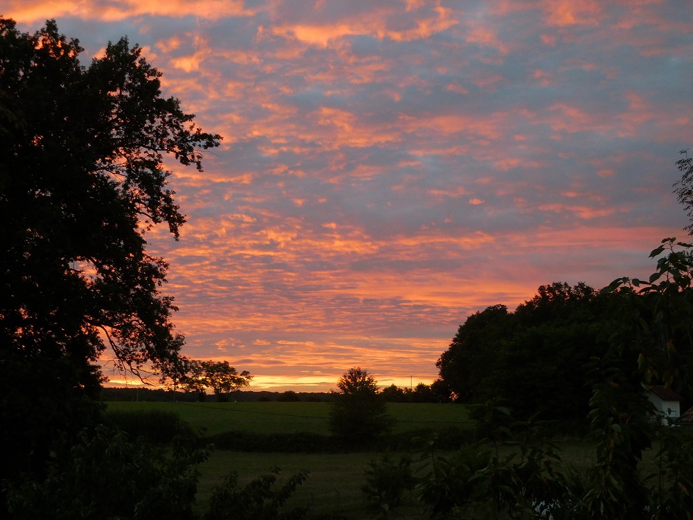 Coucher de soleil sur le jardin