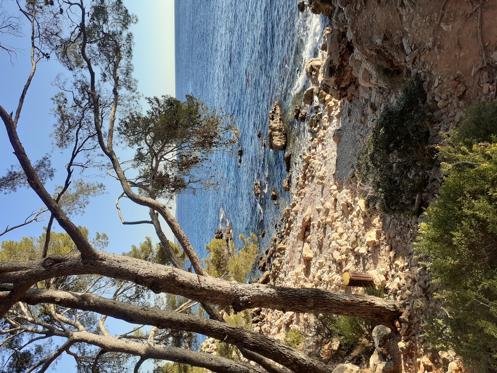 Calanques