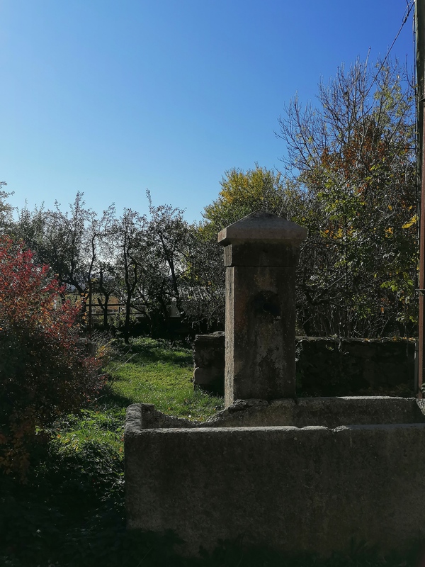 fontaine du jardin