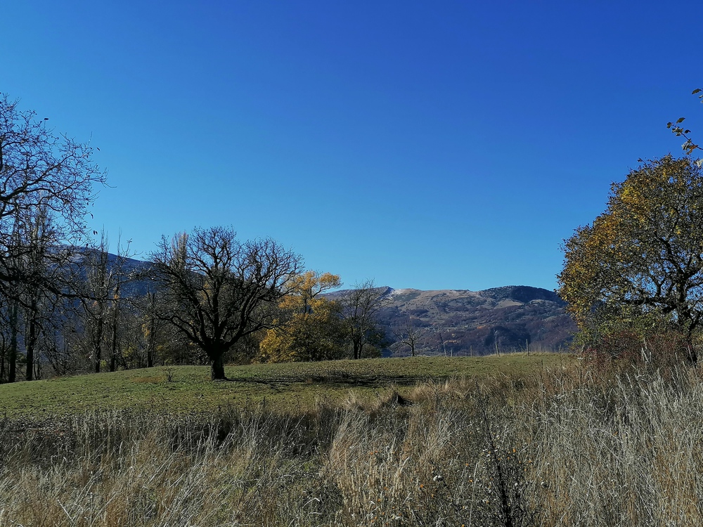 terrain devant la maison