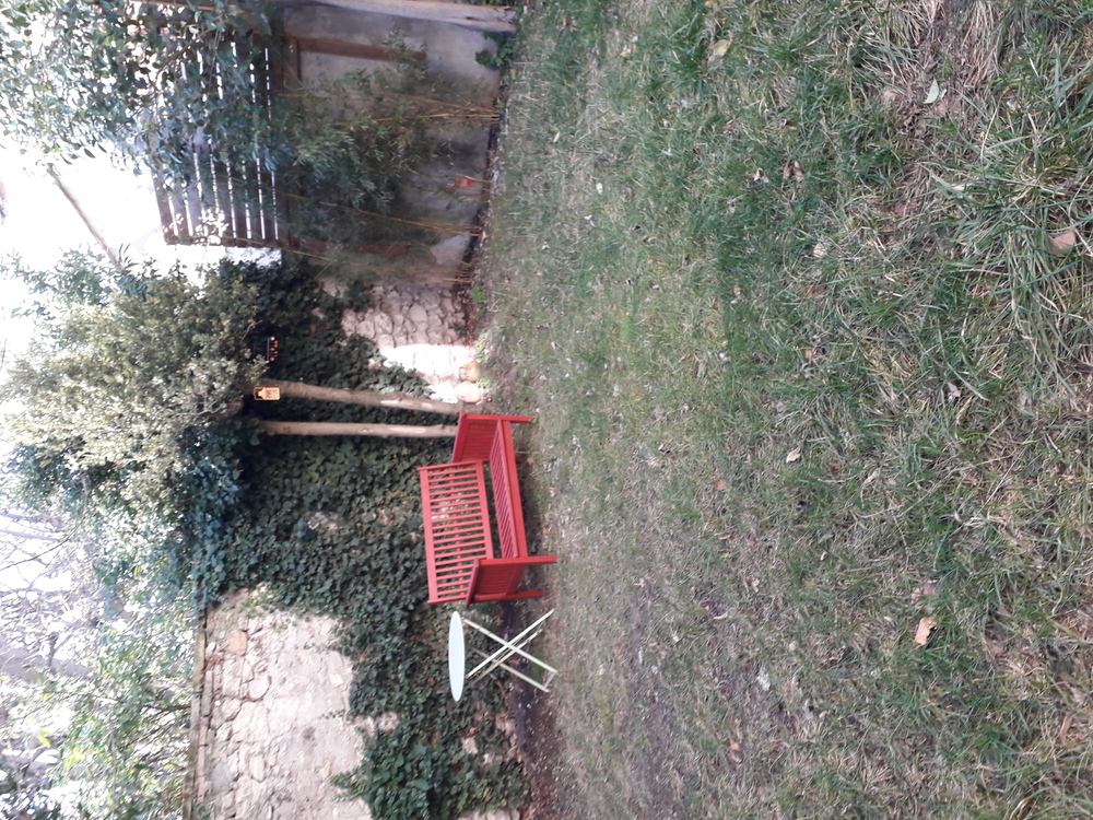 Le jardin...en hiver...