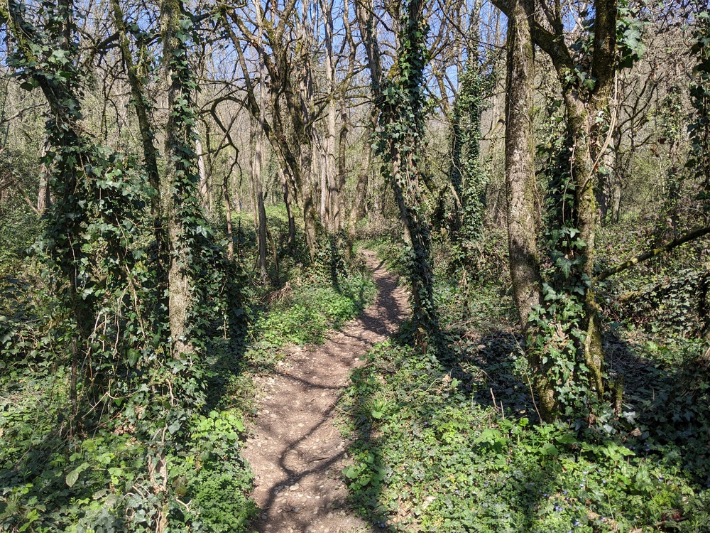 sentier au départ de chez nous